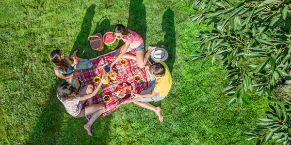 Piknik zero-waste. Maj�wka przyjazna �rodowisku