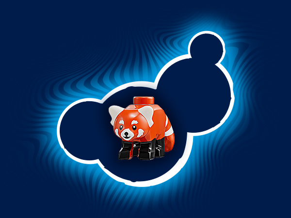 Panda czerwona