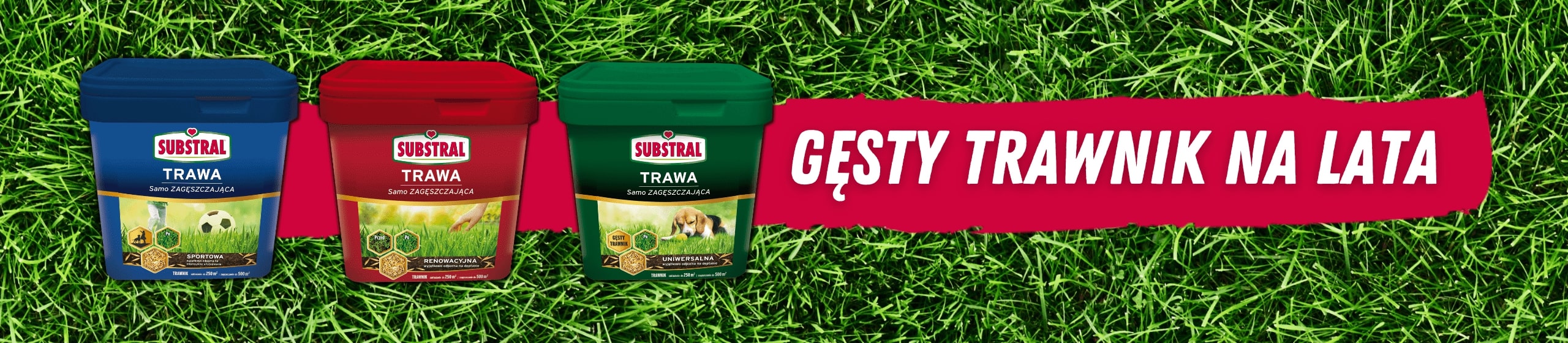 Trawa samozagęszczająca