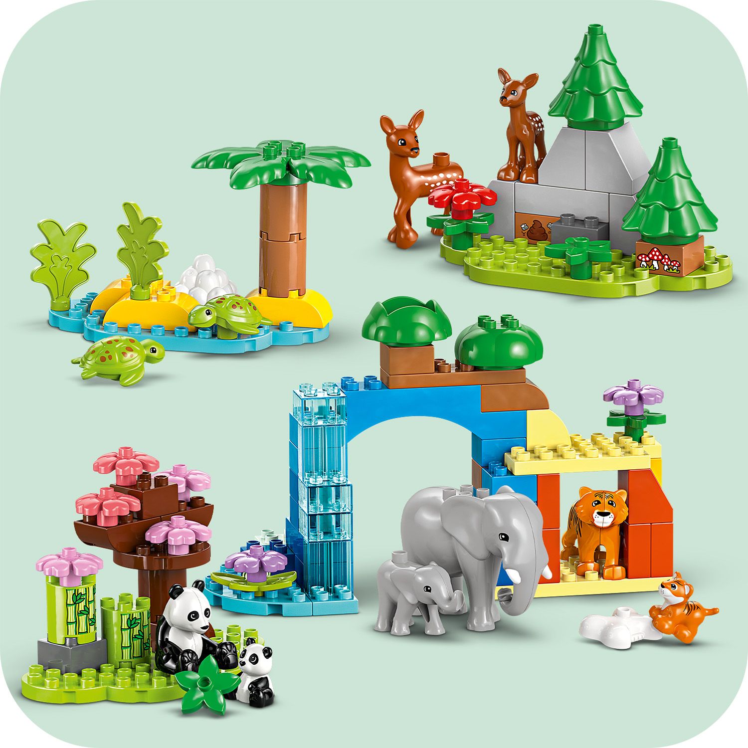 LEGO DUPLO 10446 - R�ne gatunki zwierz�t