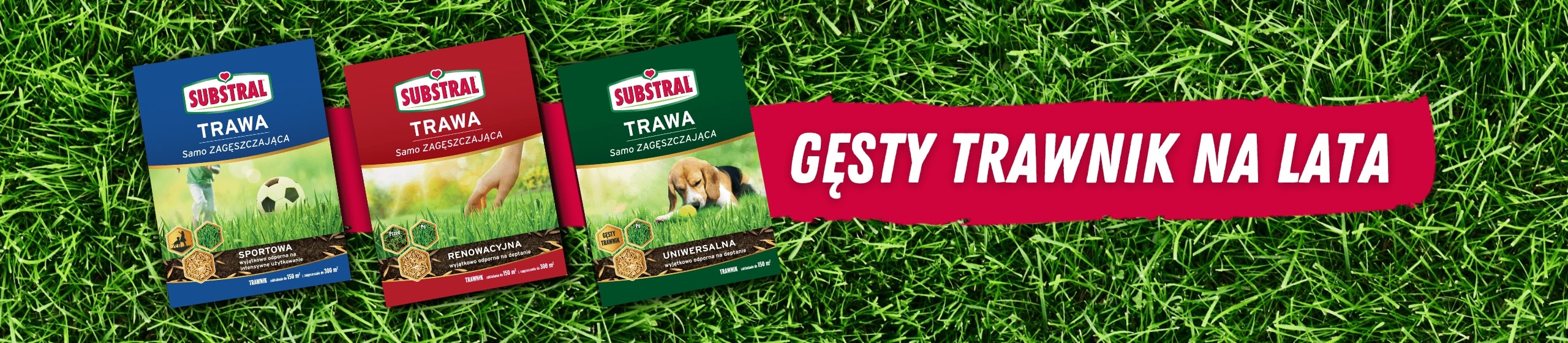 Trawa samozag�szczaj�ca